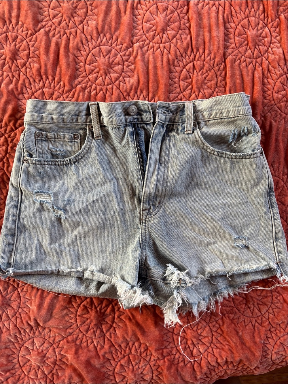 pistola Faded Light Blue Distressed Denim Shorts